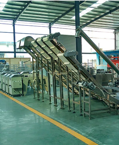 Food processing equipment prepared inside Zhuoheng factory